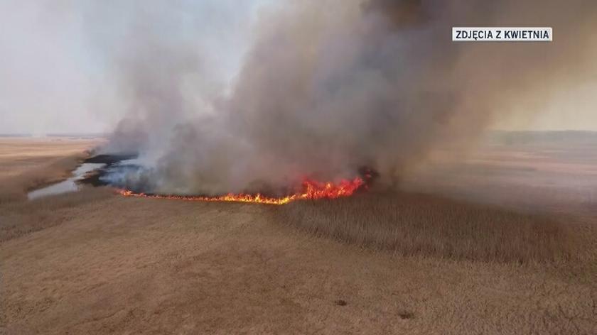 Strażacy walczyli z pożarem w Biebrzańskim Parku Narodowym przez tydzień