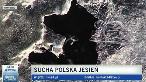 Susza zagraża potokowym pstrągom (TVN24)