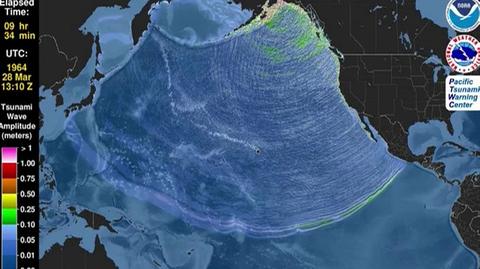 Te wstrząsy odkształciły ziemię i wywołały 60-metrowe tsunami