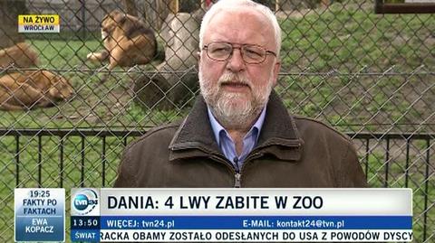 "To nie była absolutna konieczność". Ekspert o zabiciu lwów w zoo