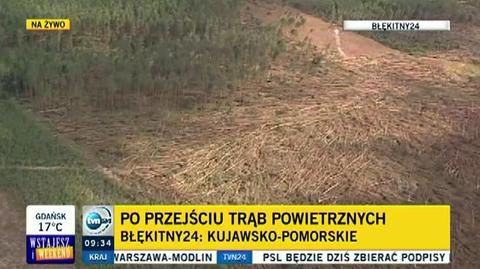 Trąba zniszczyła 400 ha Borów Tucholskich (TVN24)