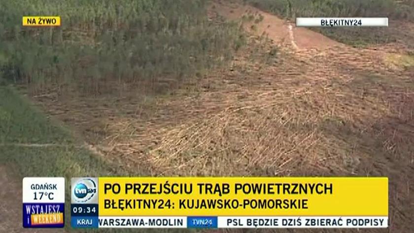 Trąba zniszczyła 400 ha Borów Tucholskich (TVN24)