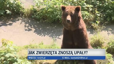 Upały to ciężki okres dla zwierząt