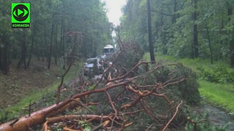 W Kuźni Raciborskiej na samochód spadły drzewa