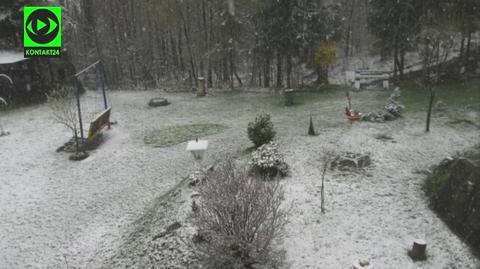 W Polsce sypnął śnieg