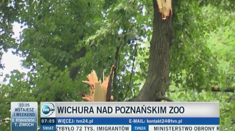 Wichura zniszczyła poznańskie zoo