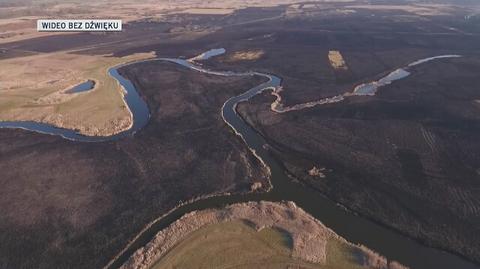 Widok z drona na spalone tereny Biebrzańskiego Parku Narodowego, kwiecień 2020