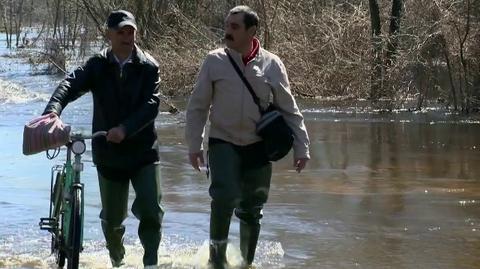 Woda na Bugu powoli opada. "Masakra, ale jest dużo lepiej" (TVN24)