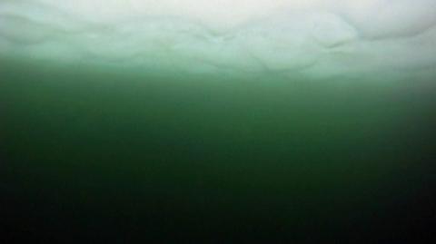 Woda Oceanu Arktycznego zmienia kolor (NASA)