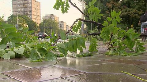 Zniszczenia po przejściu burzy we Wrocławiu