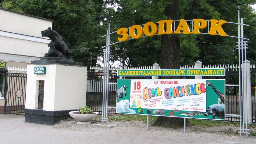Zoo w Kaliningradzie
