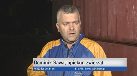 Zwierzęta w Ćwiklicach brodzą w wodzie