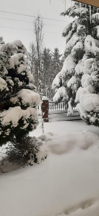 Ogromne opady śniegu w Nowych Iganiach pod Siedlcami