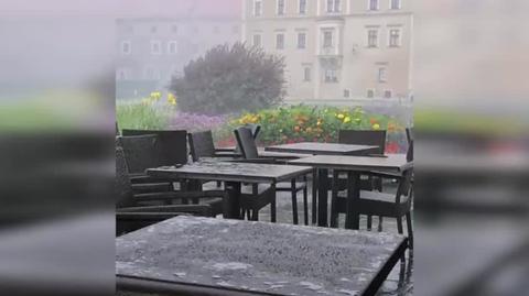 1558515_wawel.mp4