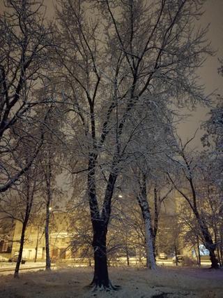 Łódź o poranku