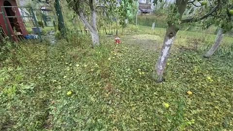 1562669_V_20220908_171718.mp4