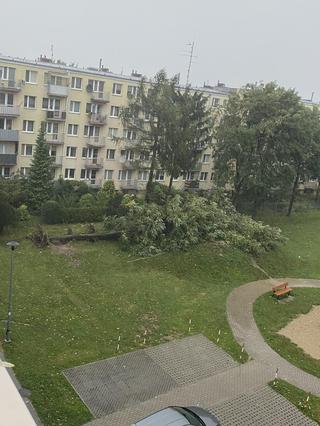 Dębica, burza 26.08.2023