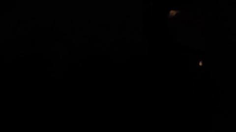 1597840_20230827_010807.mp4