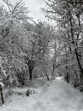 Park Lotników Kraków