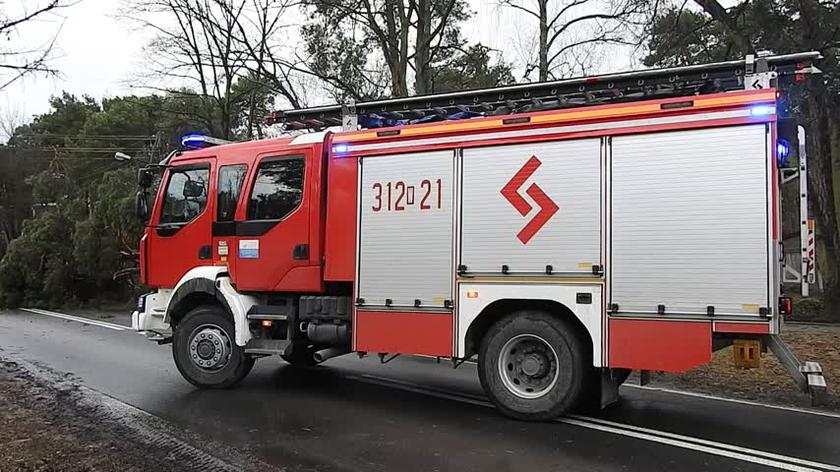 Drzewo zerwało linię energetyczną w Wawrze