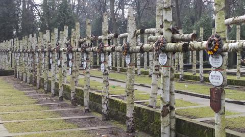 Brzozowe krzyże w kwaterze Batalionu "Zośka" na Powązkach 