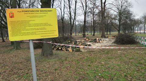 Wycinka drzew przy Cmentarzu Powstańców Warszawy