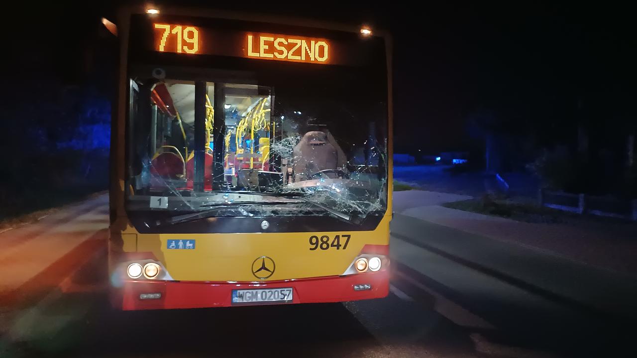 Kolizja autobusu i auta z jeleniem. Zwierzę nie przeżyło