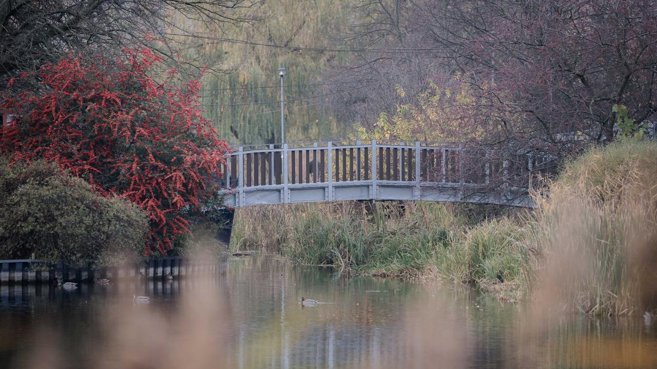 Zielone serce Bielan w nowej odsłonie. Kończy się remont na słynnych stawach