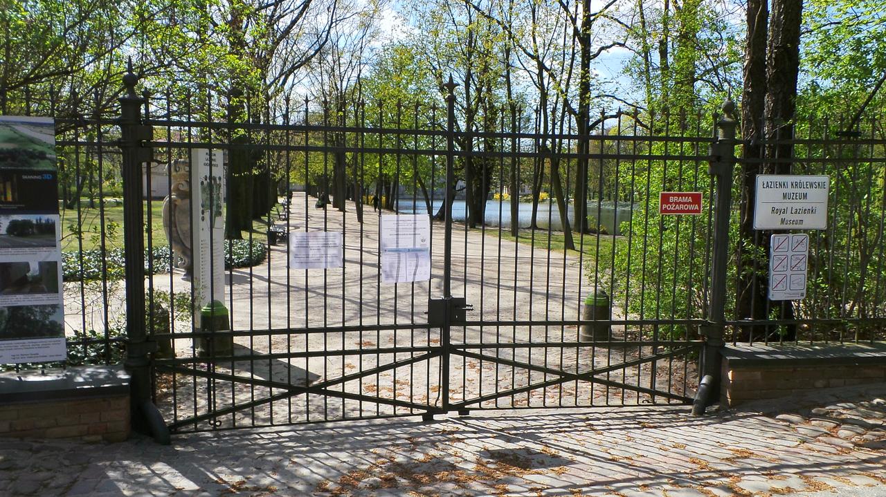 Ranny łoś w Łazienkach Królewskich