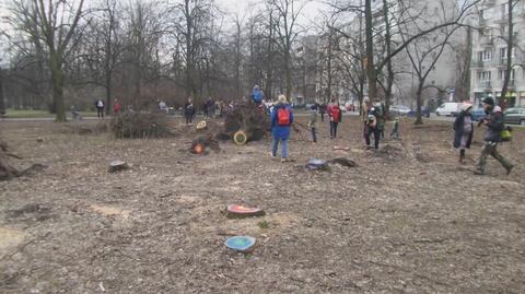 Akcja Matki Polki na wyrębie