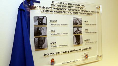 Policjanci upamiętnili sześć psów, które zginęły w skutek awarii ciepłowniczej