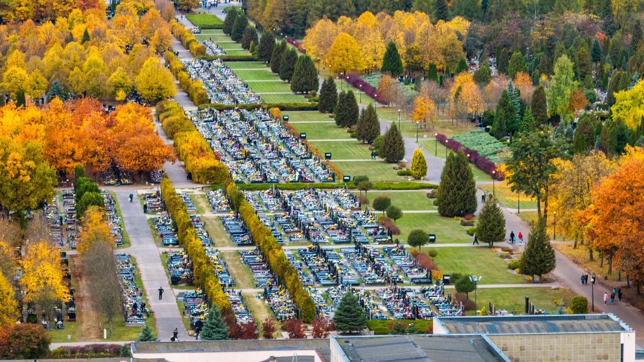 Od rana duży ruch na największym warszawskim cmentarzu