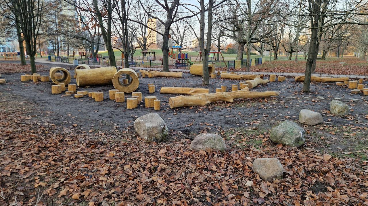 Kłody i pieńki w ogniu krytyki. 