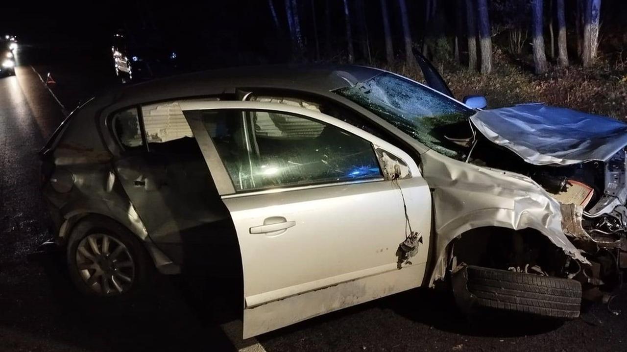 Zwierzęta na drogach. Dwa wypadki, siedem osób rannych