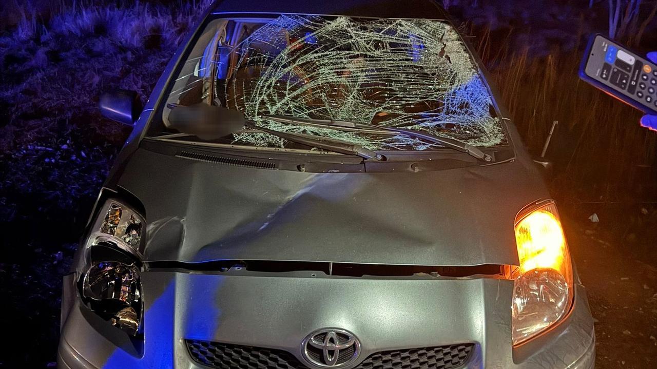 Na ulicę nagle wbiegł łoś, zderzyły się z nim dwa auta