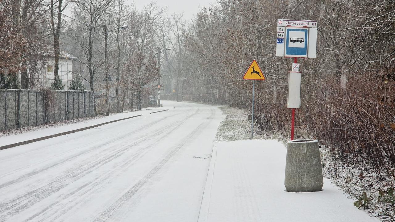 Pierwszy śnieg w stolicy. "Ulice momentalnie przykryła biała warstwa"