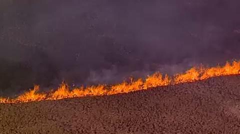 Pożar traw w Karczewie