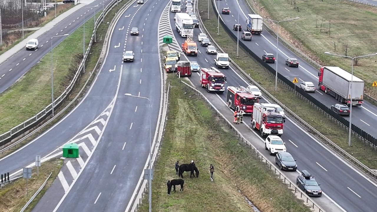 Przewróciła się przyczepa, w środku były dwa konie