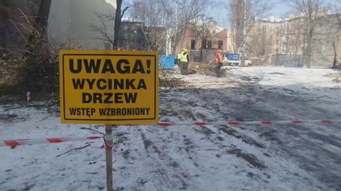 Wycinka drzew na Stalowej