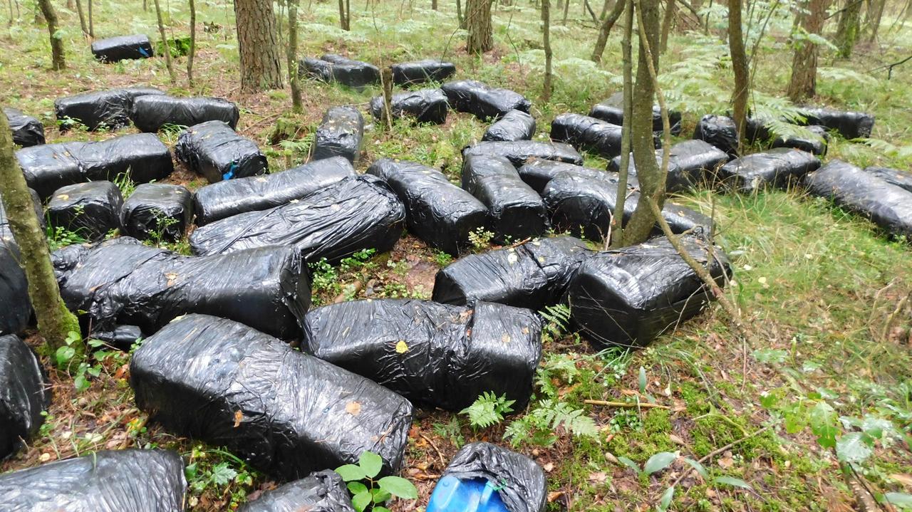 Kilkadziesiąt "pakunków" porzuconych w lesie. Leśnicy o "toksycznej zbrodni przeciwko naturze"