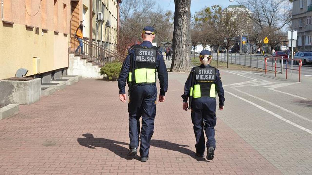 Wybrali się po rybkę, pomylili autobusy. Strażnicy pomogli zagubionym 11-latkom