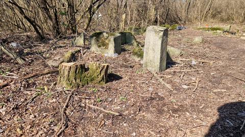 Wycinka na terenie dawnego cmentarza osadników niemieckich