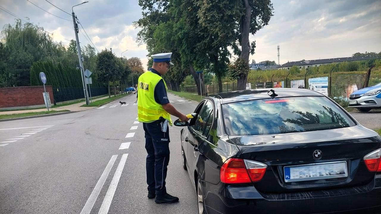 65 pijanych kierowców, dwóch po narkotykach. I to w dwa dni