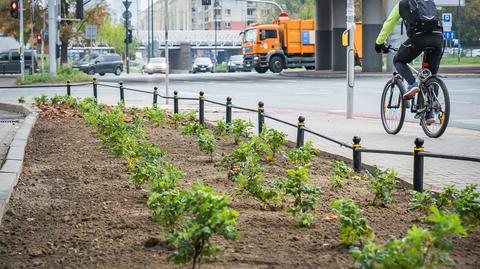 Walka z betonozą w cieniu kryzysu klimatycznego