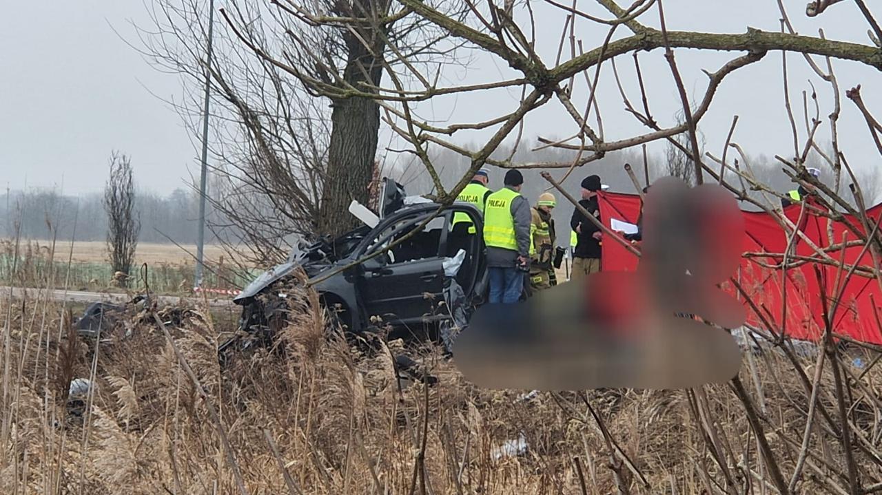 Auto na drzewie. Nie żyją dwie osoby: 19-letnia kierująca i 21-letni pasażer