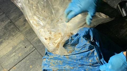 Policjanci z Mławy zabezpieczyli ponad 12 kilogramów narkotyków