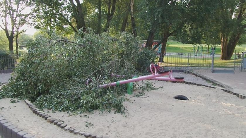 Drzewo spadło na plac zabaw