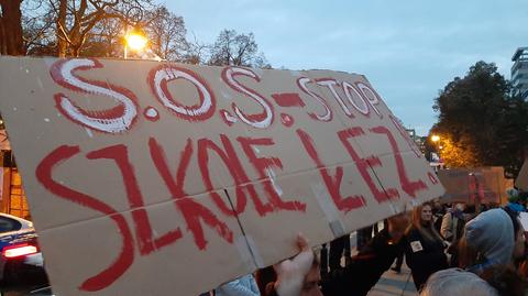 Protest przed Sejmem w sprawie "Lex Czarnek 2.0"