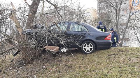 Kierowca uderzył w drzewo 
