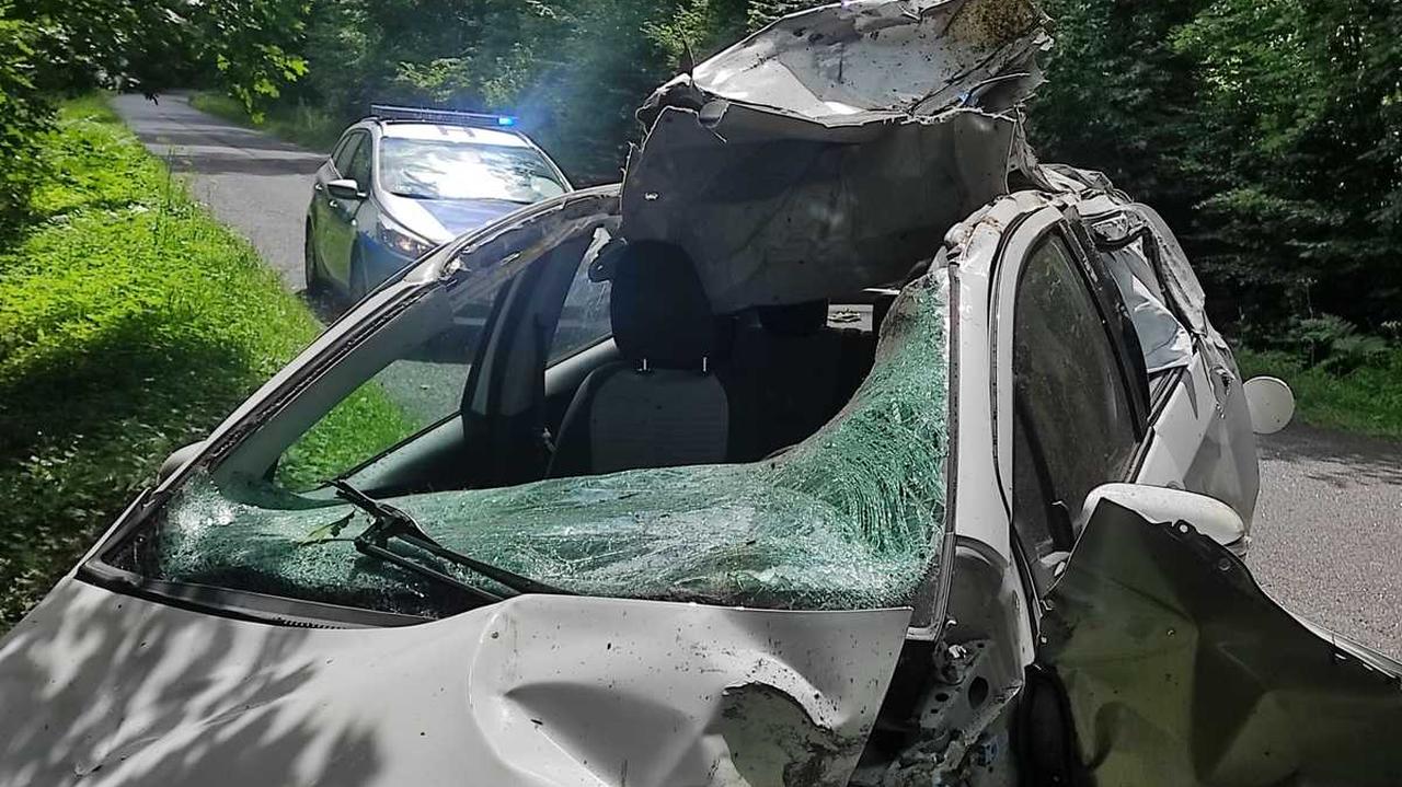 Uderzyła w przebiegającego łosia, dwie osoby ranne